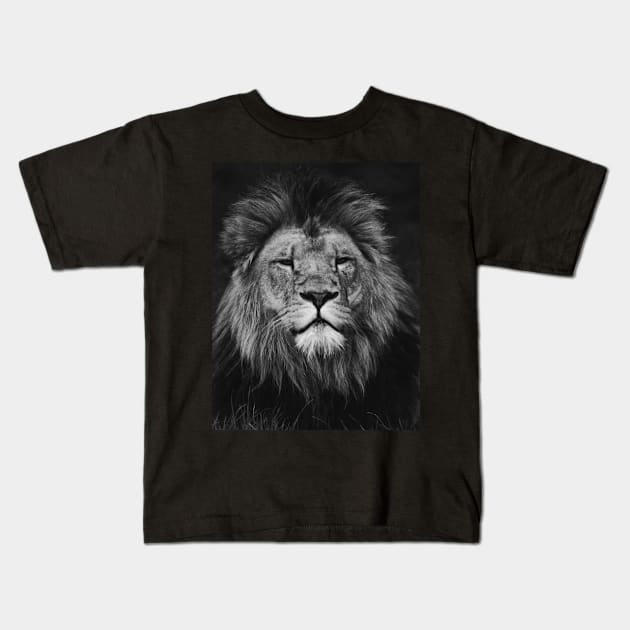 Lion | Unique Beautiful Travelling Home Decor | Phone Cases Stickers Wall Prints | Scottish Travel Photographer  | ZOE DARGUE PHOTOGRAPHY | Glasgow Travel Photographer Kids T-Shirt by zohams